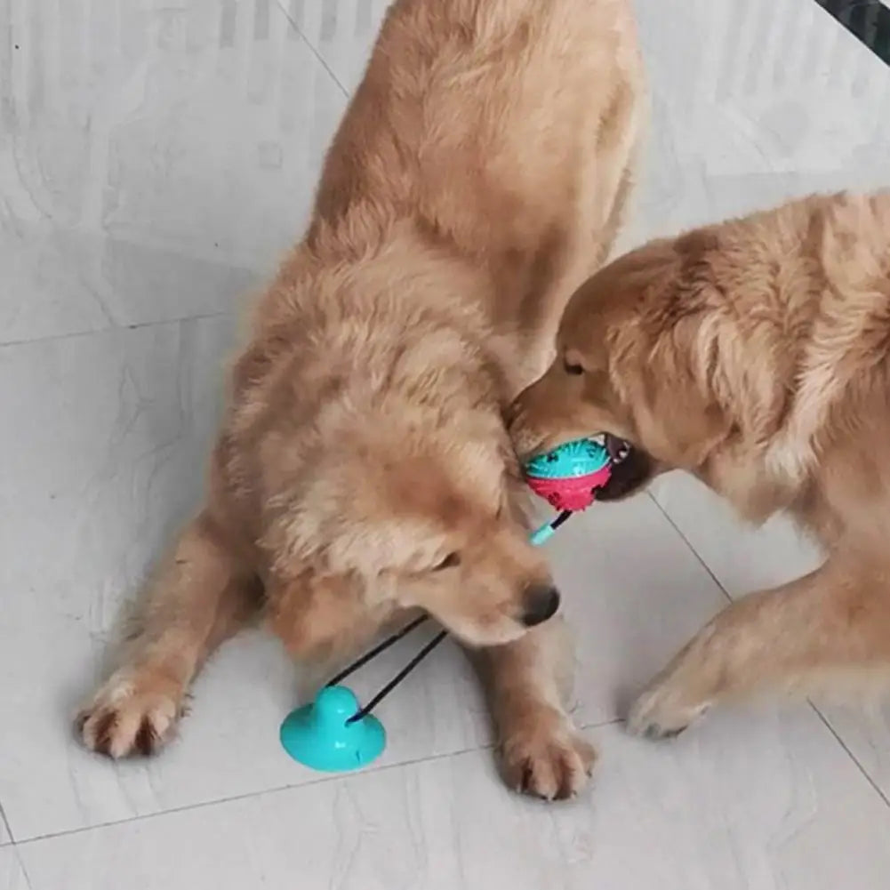 Dog Chew Toys,for Aggressive Chewers,Interactive Dog Suction Cup Toy,Teething Rope Toy,Dog Puzzle Treat Food Dispensing Ball Toy