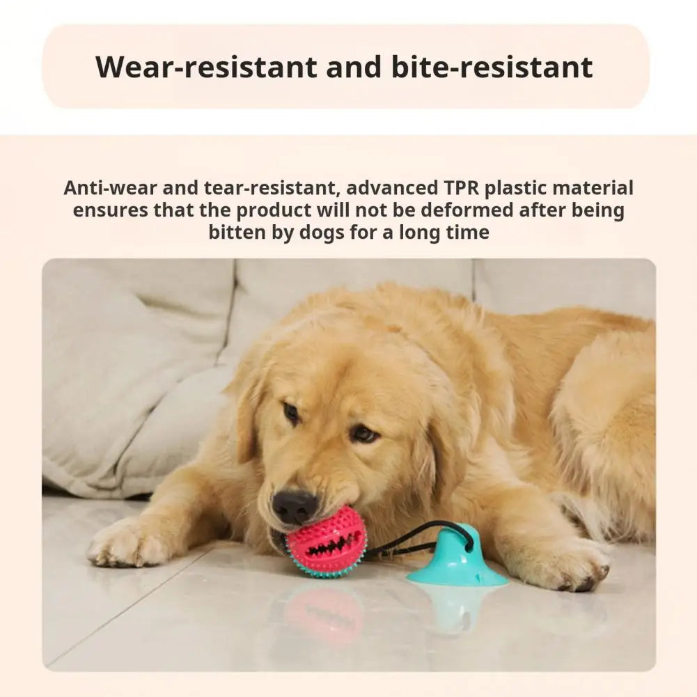 Dog Chew Toys,for Aggressive Chewers,Interactive Dog Suction Cup Toy,Teething Rope Toy,Dog Puzzle Treat Food Dispensing Ball Toy