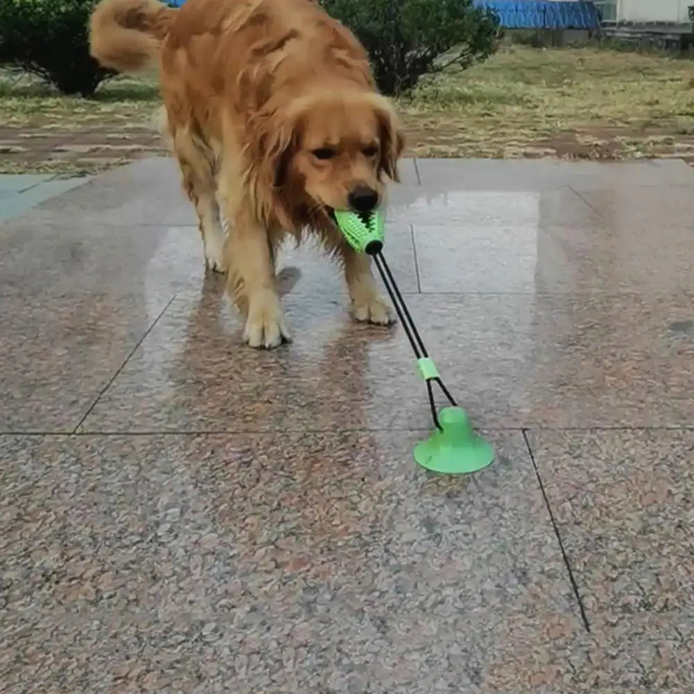Dog Chew Toys,for Aggressive Chewers,Interactive Dog Suction Cup Toy,Teething Rope Toy,Dog Puzzle Treat Food Dispensing Ball Toy