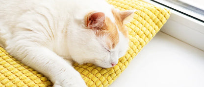 Foldable Cat Window Perch Cordless Cat Window Hammock with 4 Strong Suction Cups Windowsill Cat Beds Seat for Indoor Cats Inside