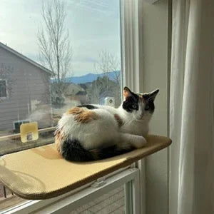 Foldable Cat Window Perch Cordless Cat Window Hammock with 4 Strong Suction Cups Windowsill Cat Beds Seat for Indoor Cats Inside