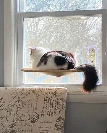 Foldable Cat Window Perch Cordless Cat Window Hammock with 4 Strong Suction Cups Windowsill Cat Beds Seat for Indoor Cats Inside