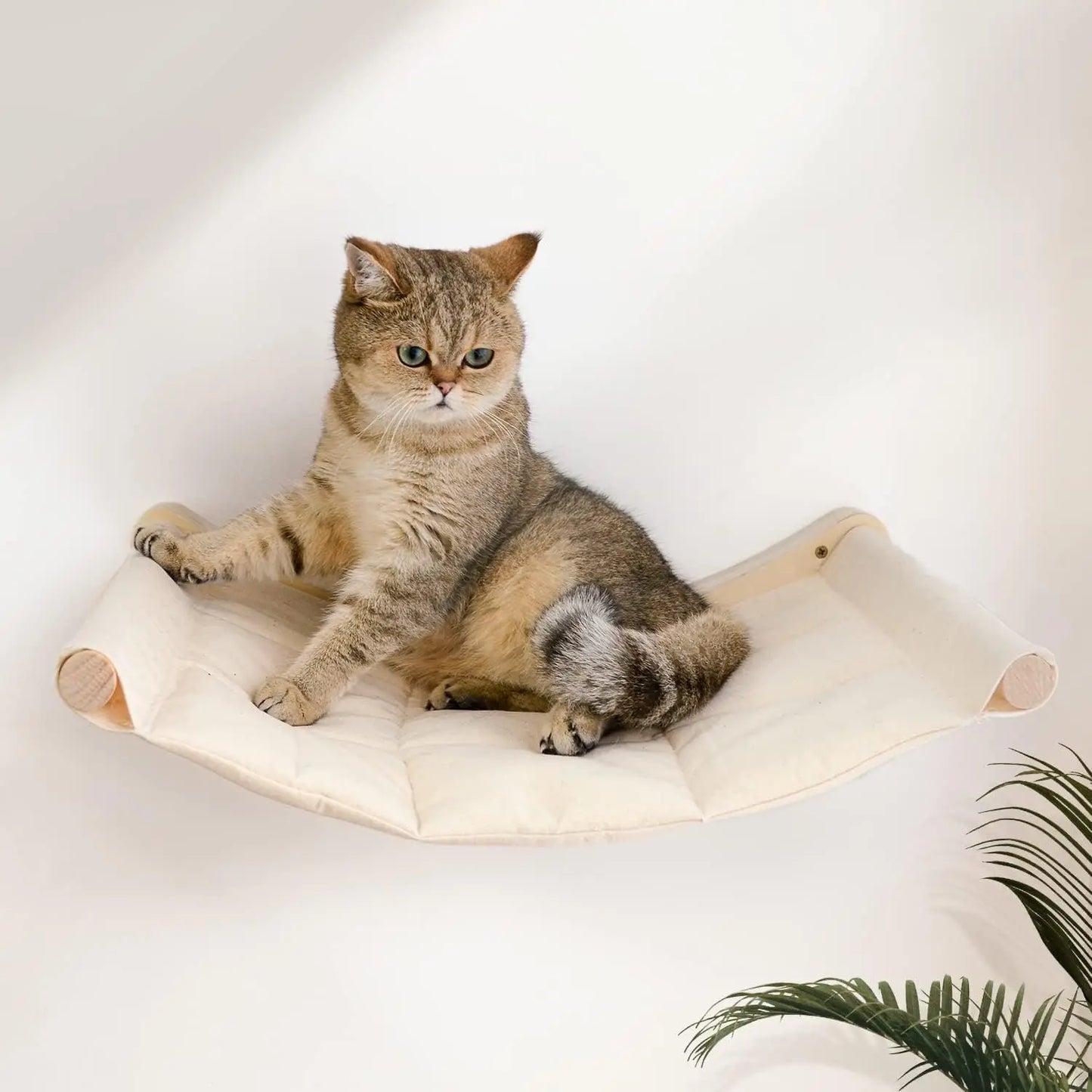 Cat Hammock Bed Wall Mounted Climbing Cats Kitty Bed Funiture Stable Shelf Perches Cat House for Sleeping Playing Accessories
