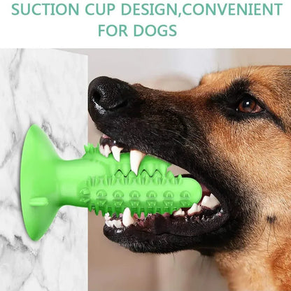Dog Toothbrush Toys for Dogs Interactive Toy Training IQ Teeth Cleaning Durable Small Medium Large Dog Puppy Chewing