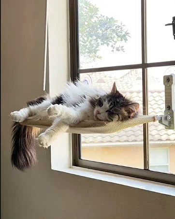 Foldable Cat Window Perch Cordless Cat Window Hammock with 4 Strong Suction Cups Windowsill Cat Beds Seat for Indoor Cats Inside