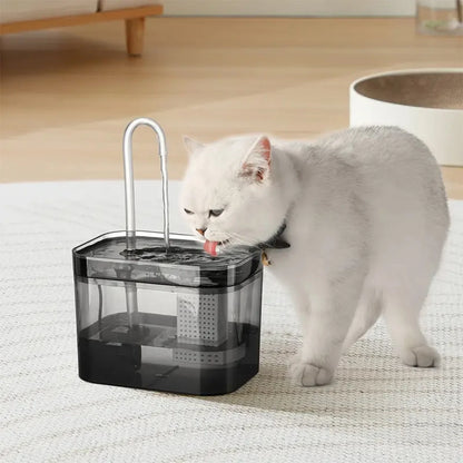 Cat Water Fountain with USB Dispenser Auto Filter Recirculate Black Transparent Cats Drinker Automatic Pet Drinking Accessories