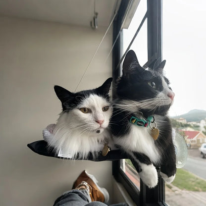 Cat bed window, cat window hammock window, safe habitat, cat frame, space saving window, cat seat