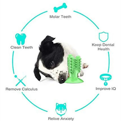 Dog Toothbrush Toys for Dogs Interactive Toy Training IQ Teeth Cleaning Durable Small Medium Large Dog Puppy Chewing